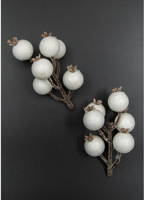 Шипшина в льоду, БІЛА, 50шт.12см