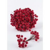 Калина двостороння