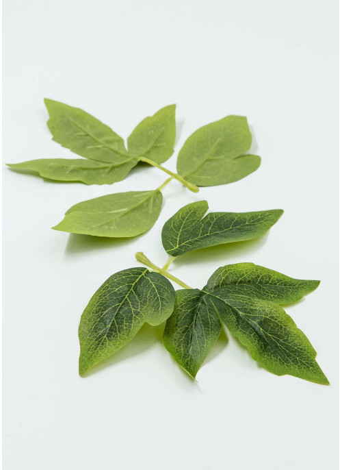 Листок півонії, Зелений. 16,5см, 100шт.