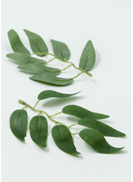 Листок рускусу, Зелений. 15см, 100шт.