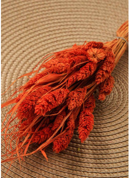 Фаляріс оранжевий. 50шт. 