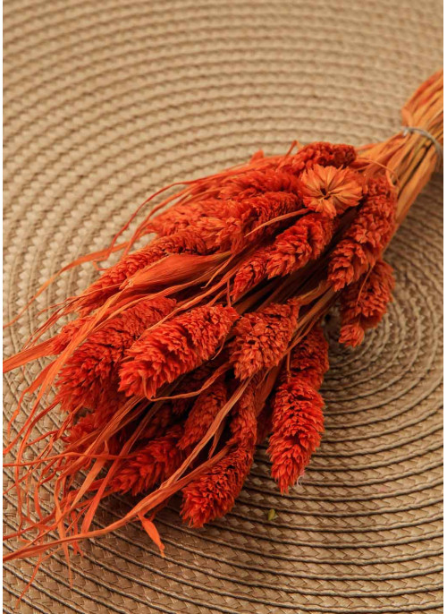 Фаляріс оранжевий. 50шт. 