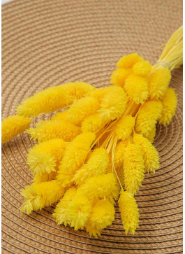 Фаляріс жовтий. 50шт. 