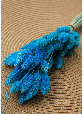 Фаляріс блакитний. 50шт. 