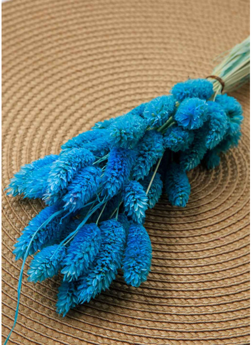 Фаляріс блакитний. 50шт. 