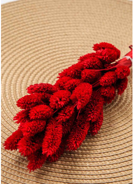 Фаляріс червоний. 50шт. 