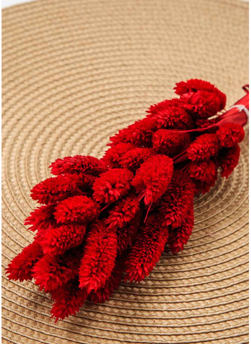 Фаляріс червоний. 50шт. 