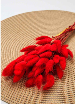 Лагурус червоний. 50шт. 