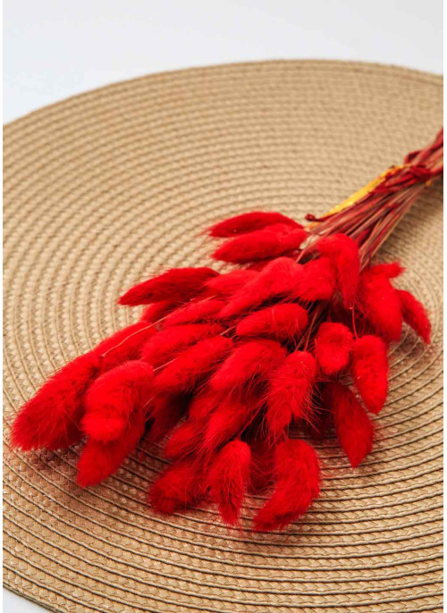 Лагурус червоний. 50шт. 