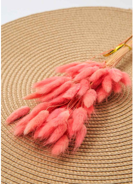 Лагурус рожевий. 50шт. 