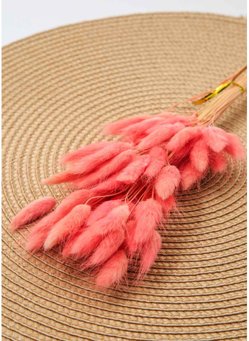 Лагурус рожевий. 50шт. 