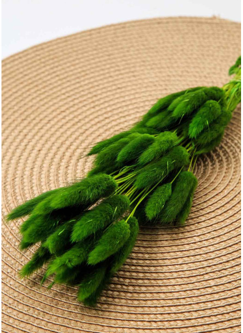 Лагурус зелений. 50шт. 