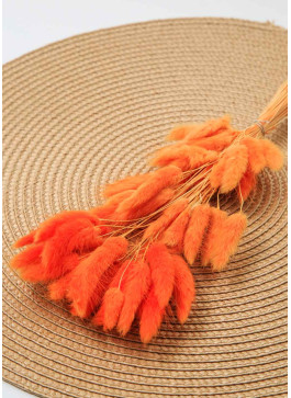 Лагурус оранжевий. 50шт. 