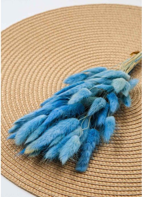 Лагурус блакитний. 50шт. 