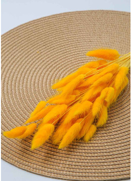 Лагурус жовтий. 50шт. 