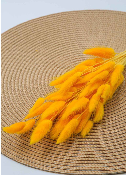 Лагурус жовтий. 50шт. 