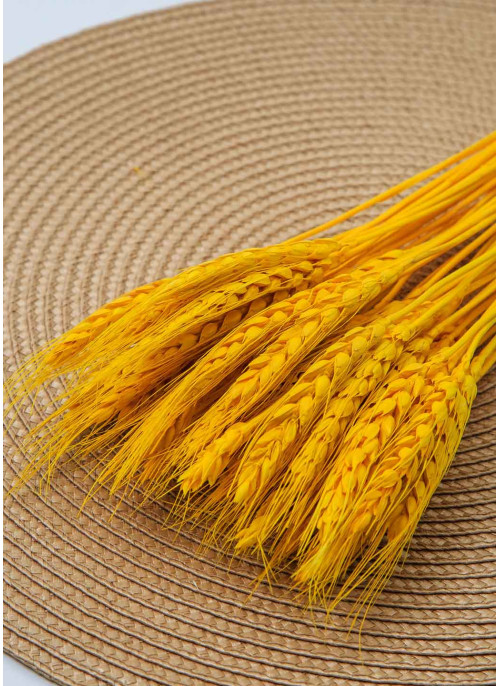 Пшениця жовта, 50шт. 