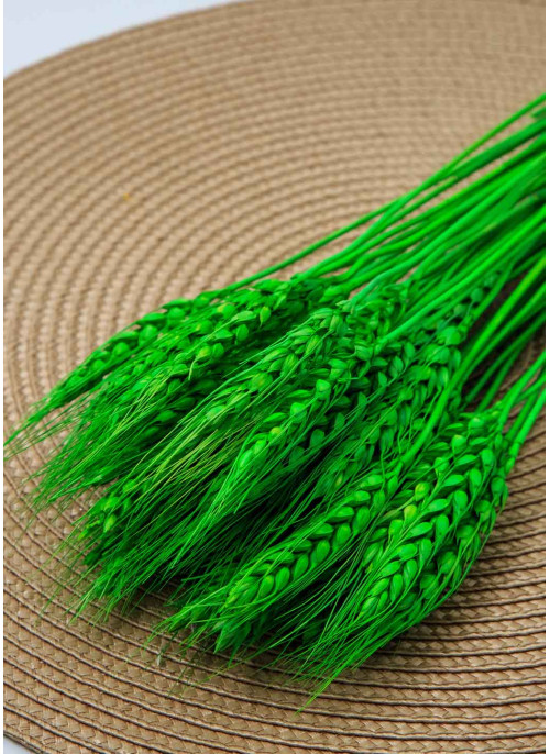 Пшениця зелена, 50шт. 