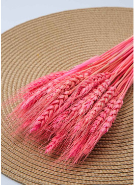 Пшениця рожева, 50шт. 