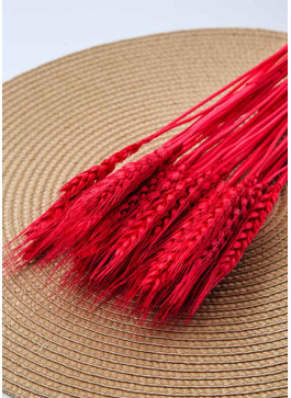 Пшениця малинова, 50шт. 