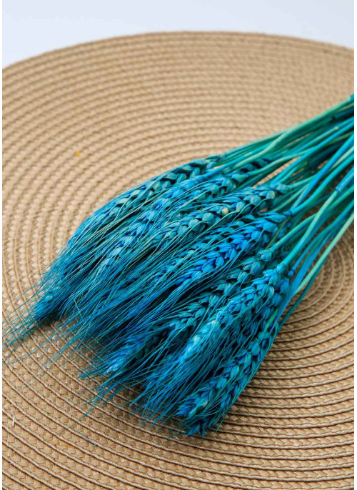 Пшениця блакитна, 50шт. 