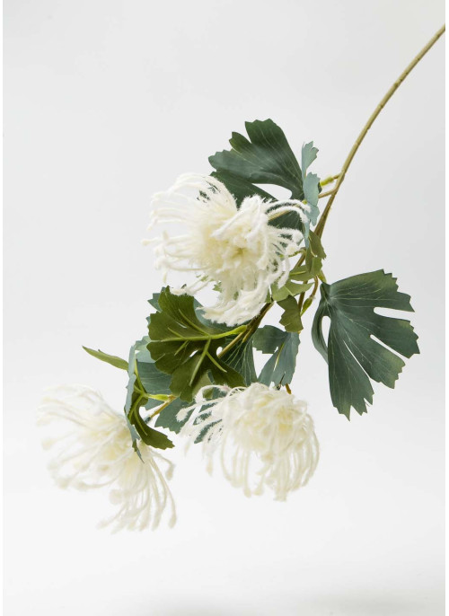 Хризантема ПАВУК, біла айворі, 65см, 1 шт.