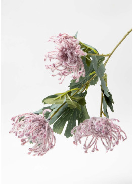 Хризантема ПАВУК, Вишнева, 65см, 1 шт.