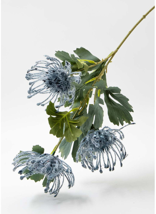 Хризантема ПАВУК, Синя, 65см, 1 шт.