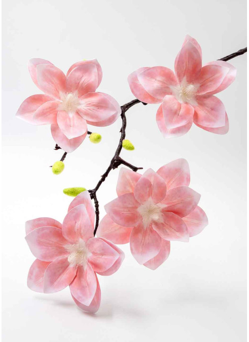 Магнолія латекс. Пудрова. 60см. 1шт.