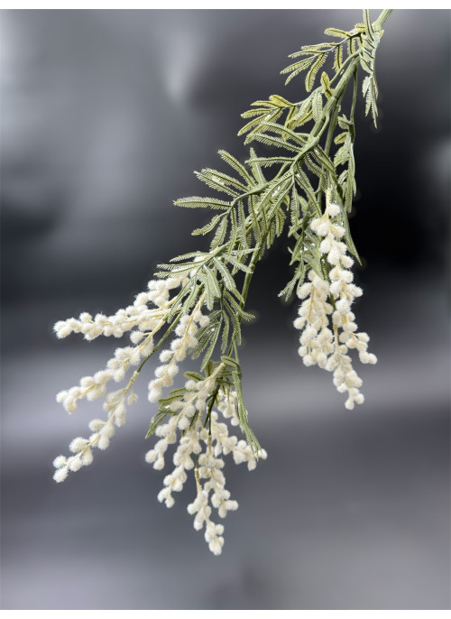Мімоза довга біла, 85см, 3 гілки. 1шт.
