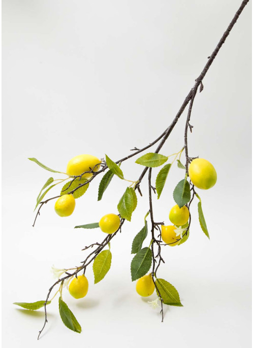 Гілка лимона довга, з плодами, 90см. 1шт.