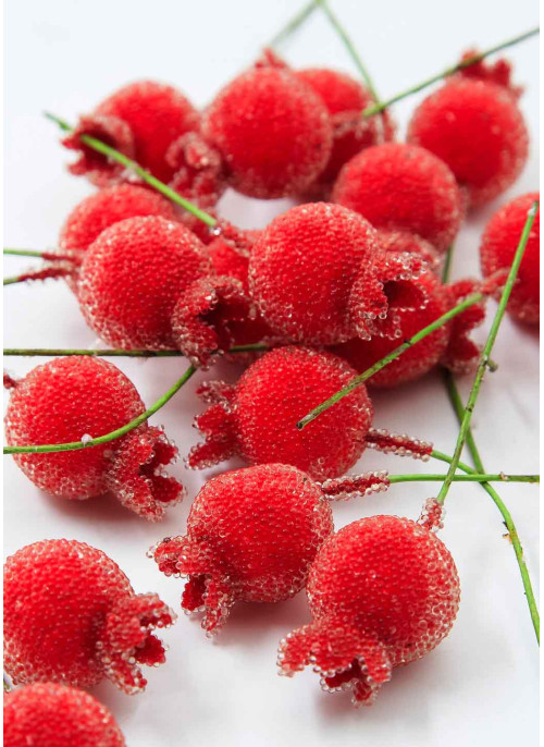 Шипшина в цукрі, ЧЕРВОНА, на дротику, діам.-2см. 100шт