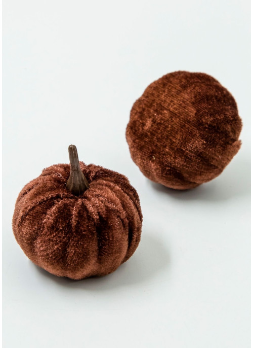 Гарбузик оксамитовий, ШОКОЛАДНИЙ, 5,5 на 5,5 см, 20 шт.