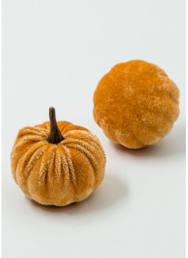 Гарбузик оксамитовий, СВ. КОРИЧНЕВИЙ, 5,5 на 5,5 см, 20 шт.