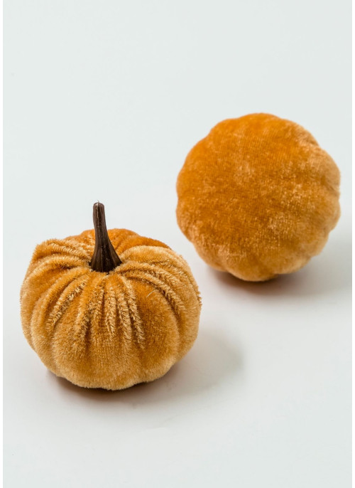 Гарбузик оксамитовий, СВ. КОРИЧНЕВИЙ, 5,5 на 5,5 см, 20 шт.