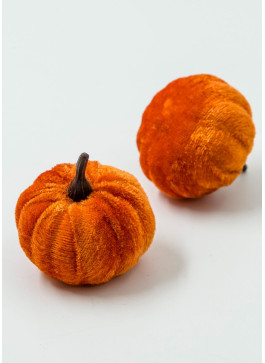 Гарбузик оксамитовий, ТЕРАКОТОВИЙ, 5,5 на 5,5 см, 20 шт.