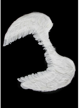 Крила білі пір'яні. 80 на 60см. 1 шт. НАЙБІЛЬШЕ