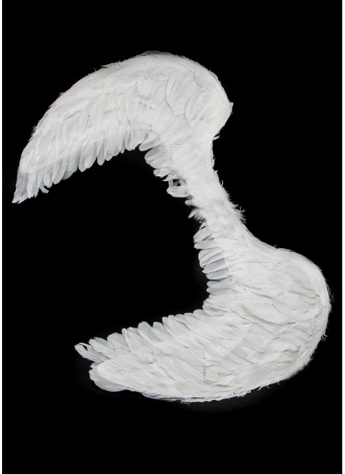Крила білі пір'яні. 80 на 60см. 1 шт. НАЙБІЛЬШЕ