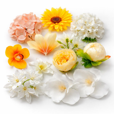 Голівки квітів