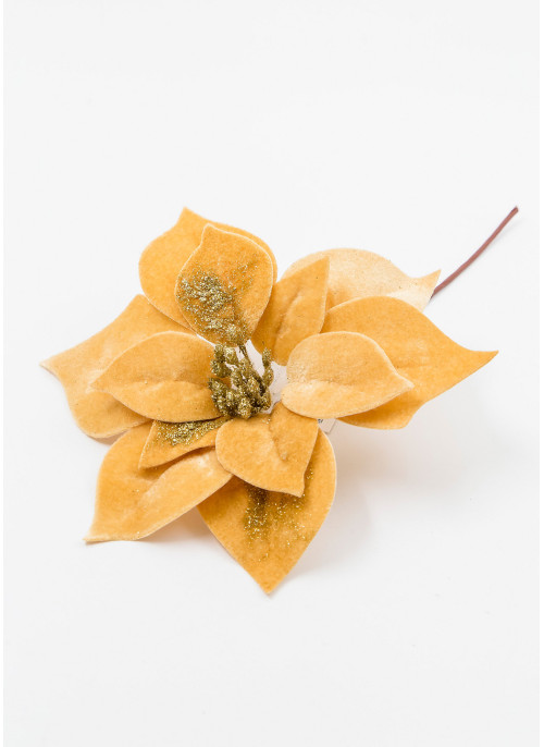 Різдвяник оксамит, кремовий, 20см. 12шт.