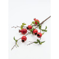 Гілка гранату, з плодами, 60см. 1шт.
