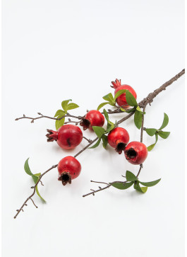 Гілка гранату, з плодами, 60см. 1шт.