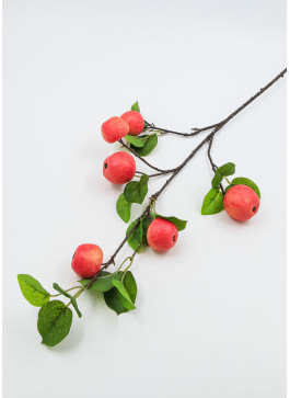 Гілка яблуні, з плодами, 60см. 1шт.