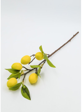 Гілка лимону, з плодами, 60см. 1шт.